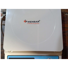 WENSER WEIGHT BALANCE